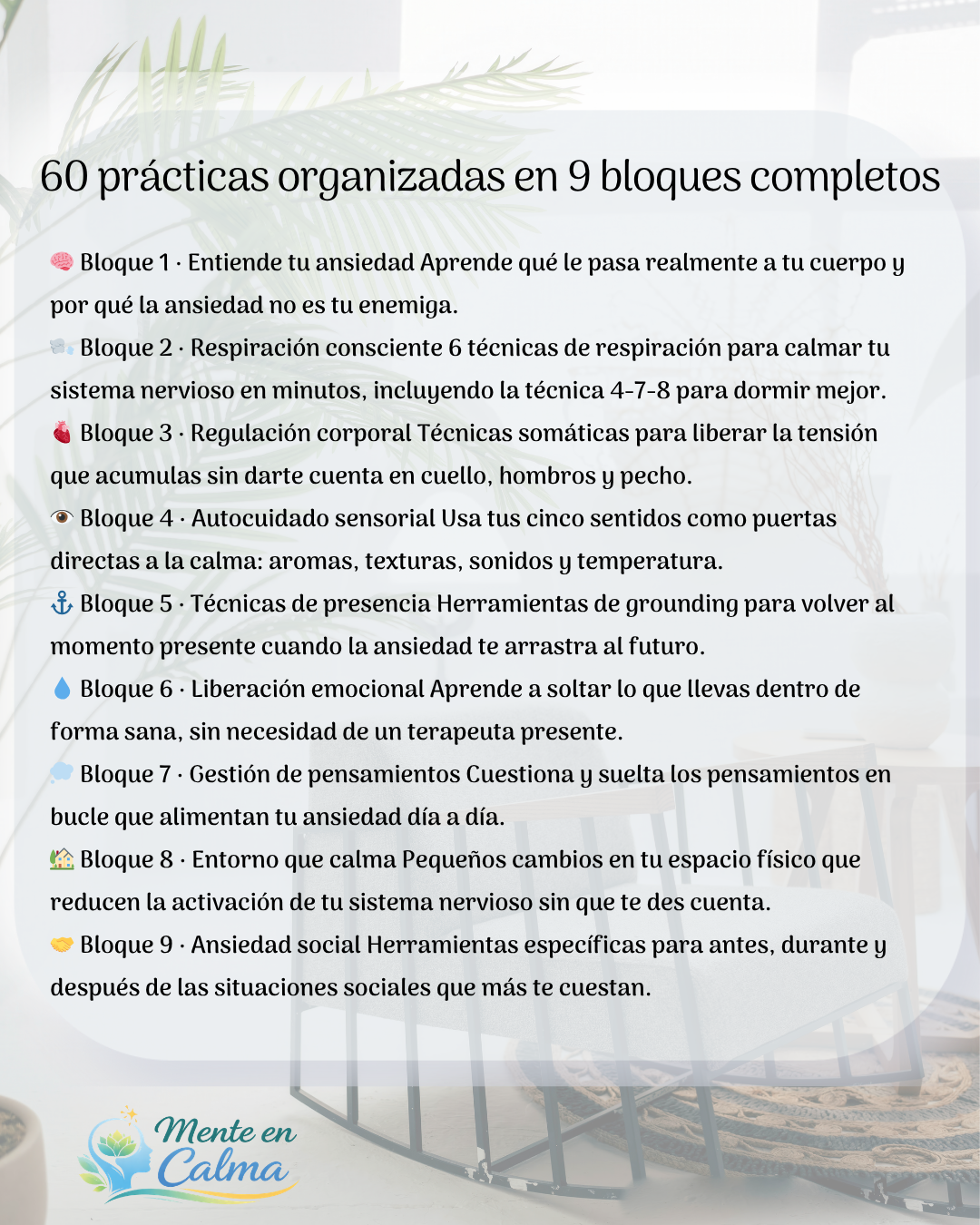 Ansiedad Cotidiana - El Sistema Completo para Regularla
